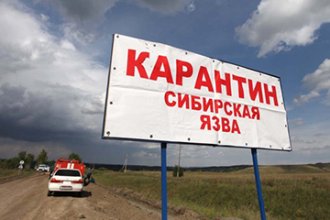 В Казахстане образовался уже четвертый очаг сибирской язвы