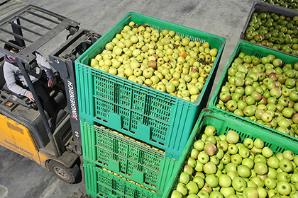 Россия ограничит поставки овощей из Казахстана из-за «сербских» яблок