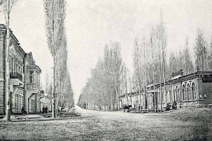 Здесь будет город-сад. Как озеленяли Ташкент в 1884 году
