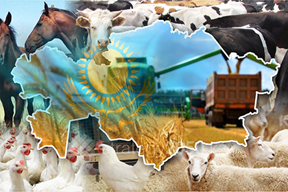 «Вершки» и «корешки» животноводства в Казахстане