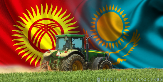 Двойной эффект: Киргизия и Казахстан будут развивать АПК совместно