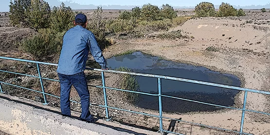 Паводки сменяются засухой: пора переходить на водосбережение